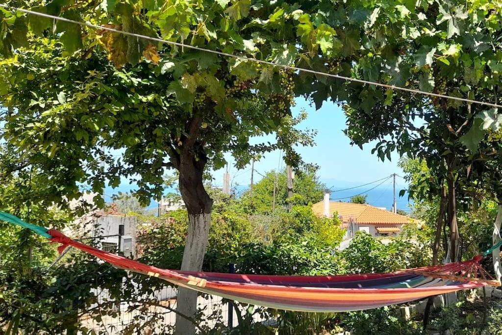 Appartement Το Σπίτι Της Ελένης à Vlachia Extérieur photo
