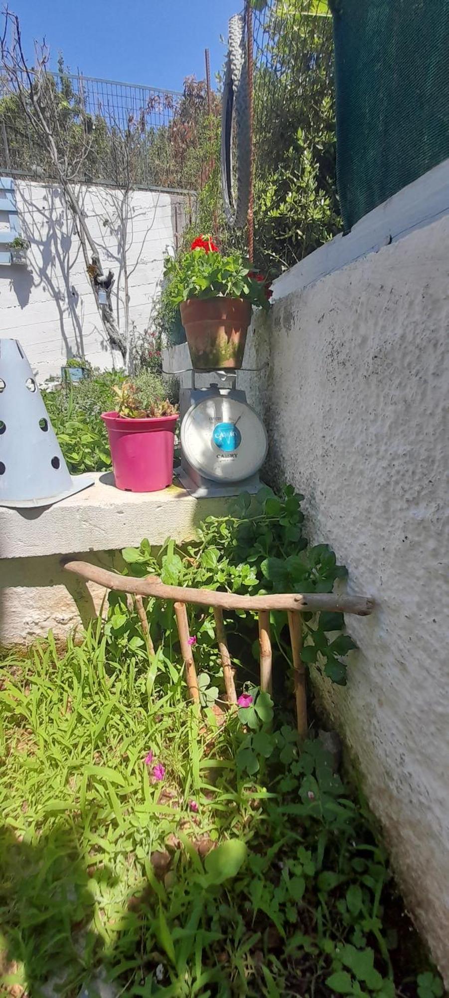 Appartement Το Σπίτι Της Ελένης à Vlachia Extérieur photo